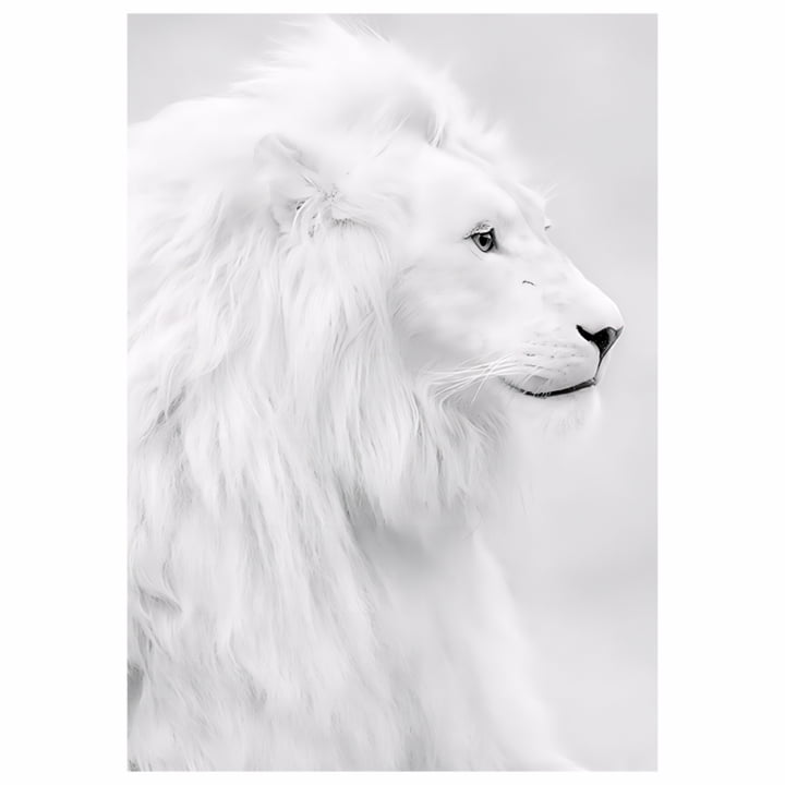 Quadro Leão Branco Decorativo
