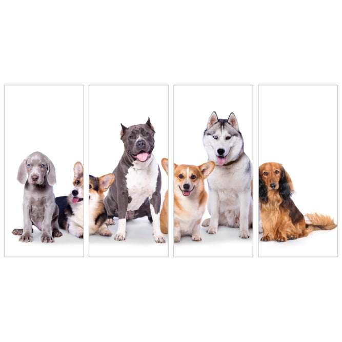 6 Quadros Cachorros Fofinhos Dog Pet 15 cm Cada em Relevo Decoração