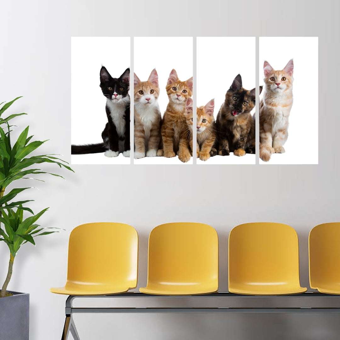 Quadro gatos pet filhotes animais pet shop decorativo