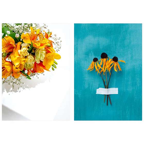 Quadro Flores Amarelas e Girassóis Decorativos