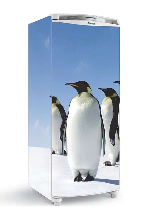 adesivo geladeira pinguins antartica neve 