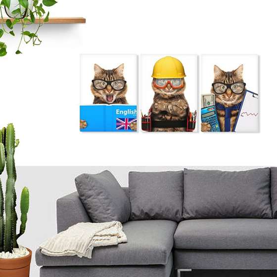 Quadros Gatos Profissoes Pets decorativos 3 unidades