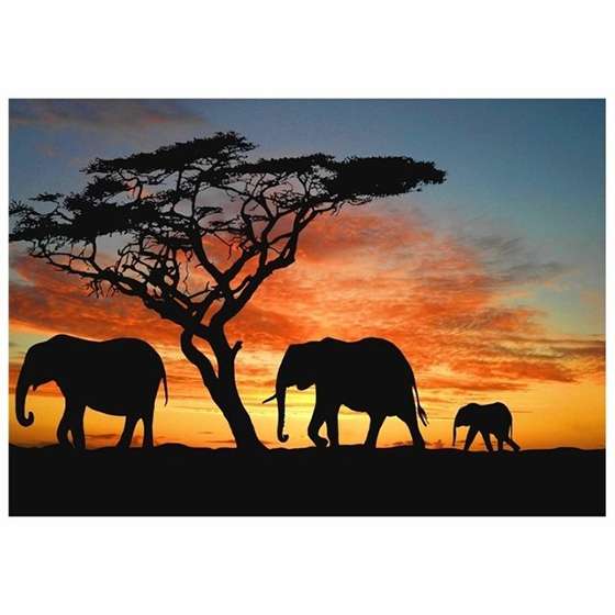 Quadro elefante colorido decor sala africa india