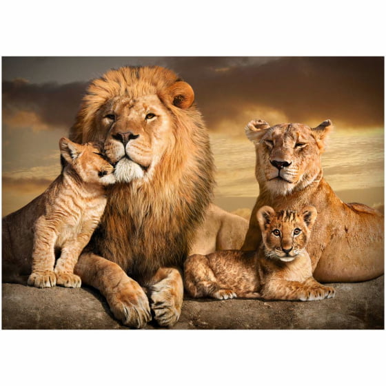 Quadro Família de Leões Dois Filhotes