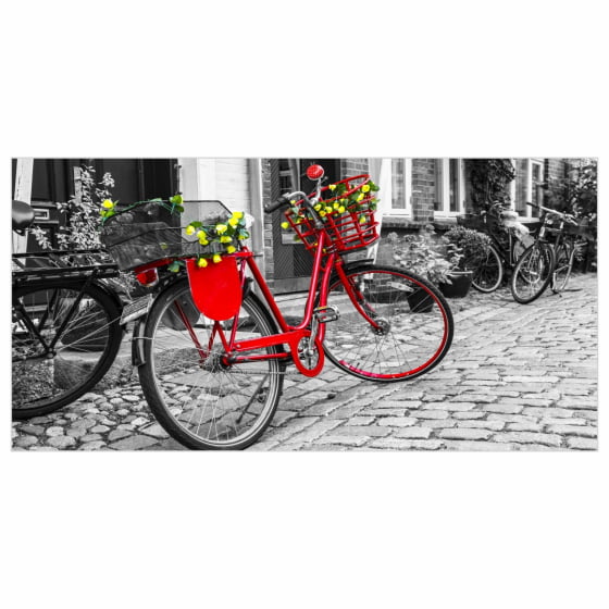 Quadro Fotografia de Bicicleta Vermelha 