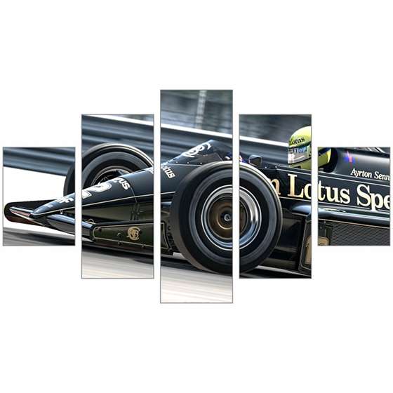 Quadro Lotus Sports F1 piloto brasileiro