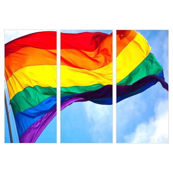 Quadro Bandeira LGBTQ Para Decoração De Interiores