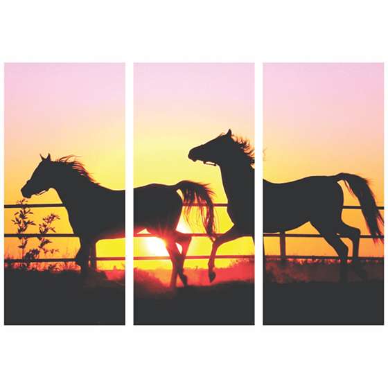 Quadro cavalos correndo sol