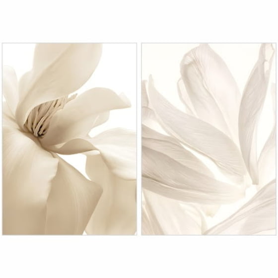 Quadro Dupla de Flores Brancas Decorativo