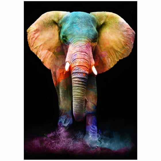Quadro elefante full color decorativo