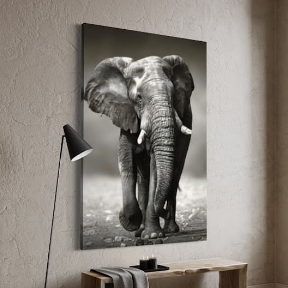 Quadro Elefante Savana Africana Preto e Branco Decorativo