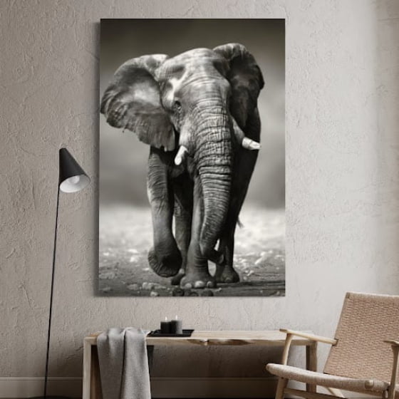 Quadro Elefante Savana Africana Preto e Branco Decorativo