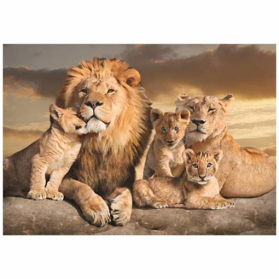 Quadro Família do Leão com Tres Filhotes 
