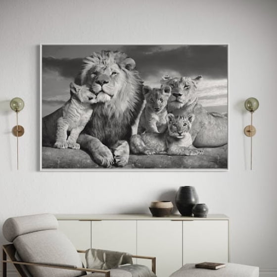 Quadro família do leão com três filhotes preto e branco