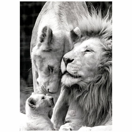 Quadro familia leao leoa e um filhote decorativo