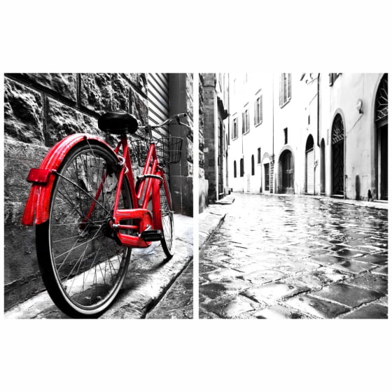 Quadro Fotografia Bicicleta Tons de Cinza e Vermelho