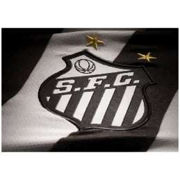 Quadro Para Decorar Santos Futebol Clube 
