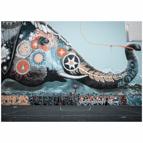 Quadro Grafite Elefante e Quadra de Basquete 