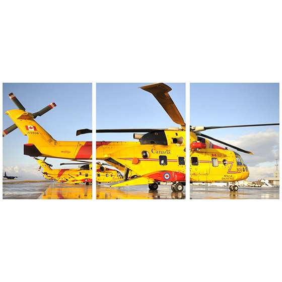 Quadro Helicóptero de Resgate do Canadá