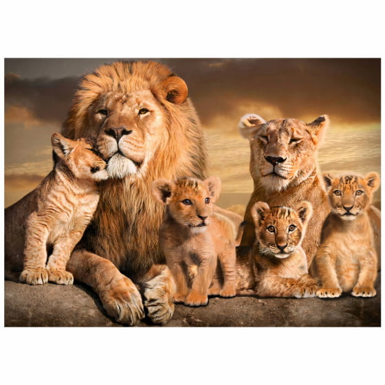 Quadro Leão E Leoa Familia Quatro Filhotes