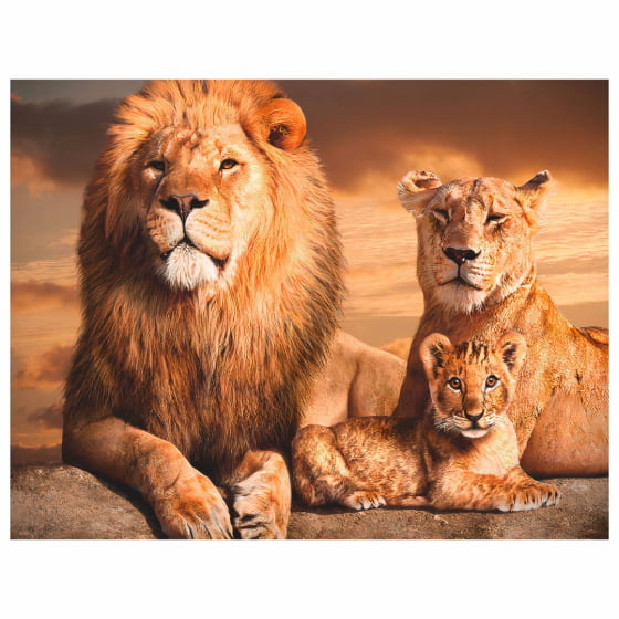 Quadro Leão familia um filhote decorativo