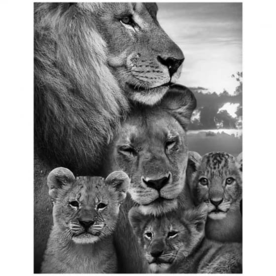 Quadro leoes familia com tres filhotes PB