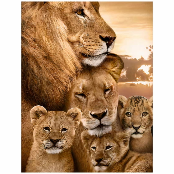 Quadro leoes familia com tres filhotes decorativo