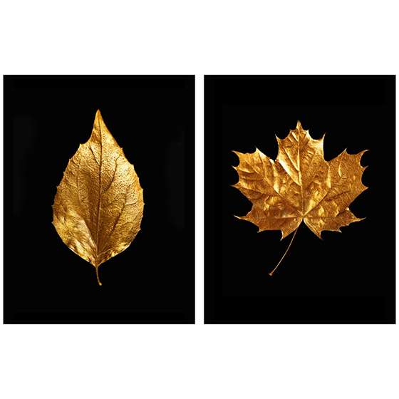 Quadro Folhas Douradas Outono  
