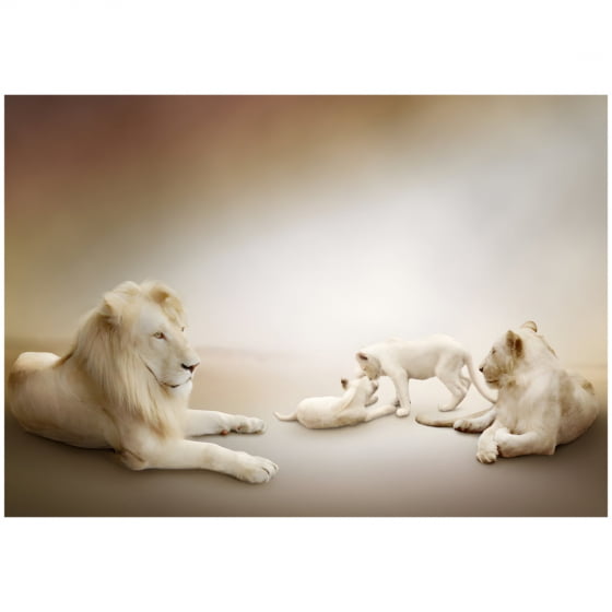 Quadro Família de Leões dois filhotes decorativo