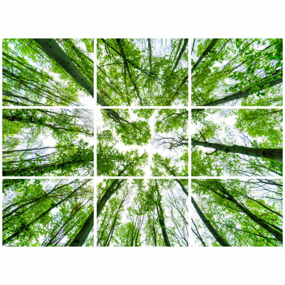 Quadro Mosaico Natureza Floresta Verde