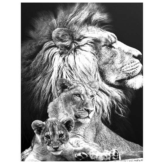 Quadro Leão Família Preto e Branco 