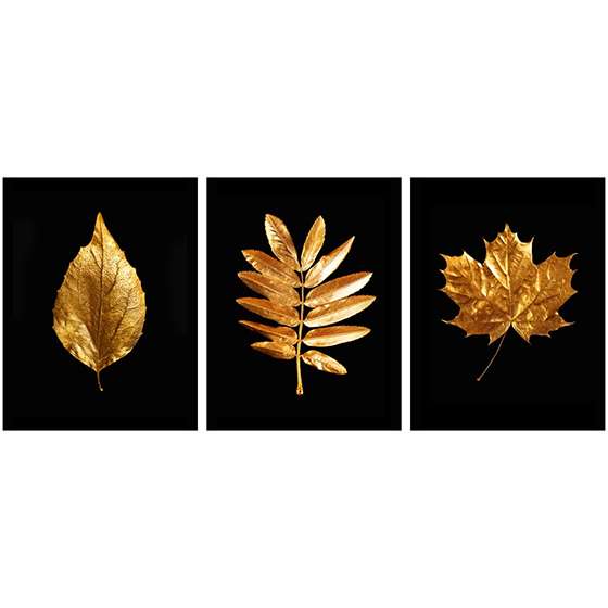 Quadro Trio de Folhas Douradas